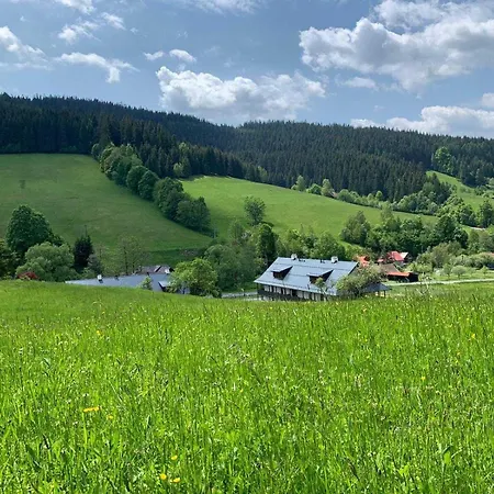Neta Velke Karlovice, Polansky Dvur Daire Velké Karlovice