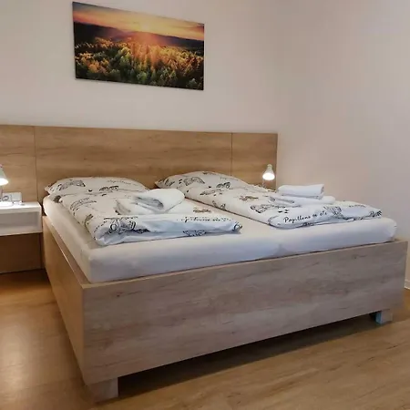 Neta Velke Karlovice, Polansky Dvur Apartment *