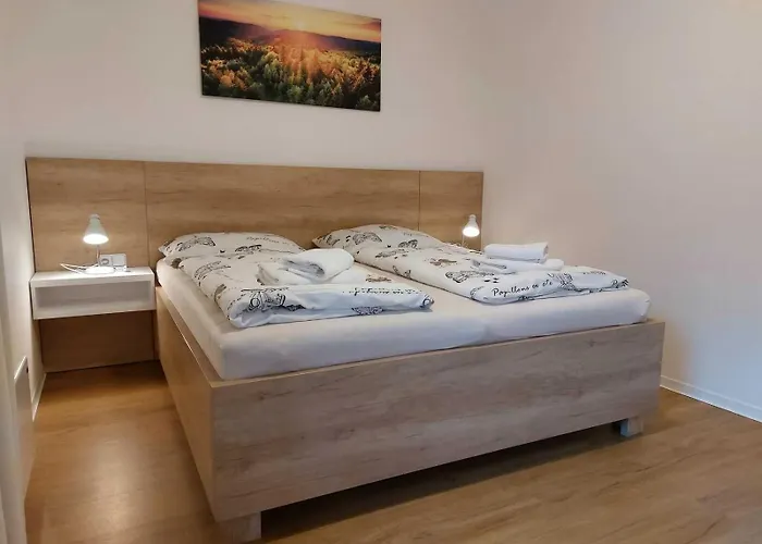 Neta Velke Karlovice, Polansky Dvur Апартаменты *
